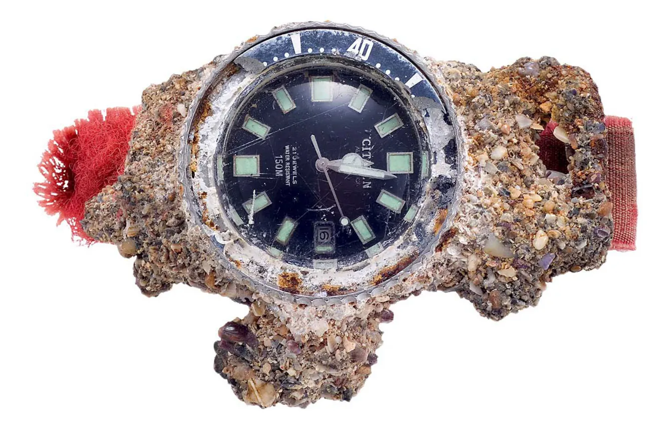 Citizen NB6021-68L