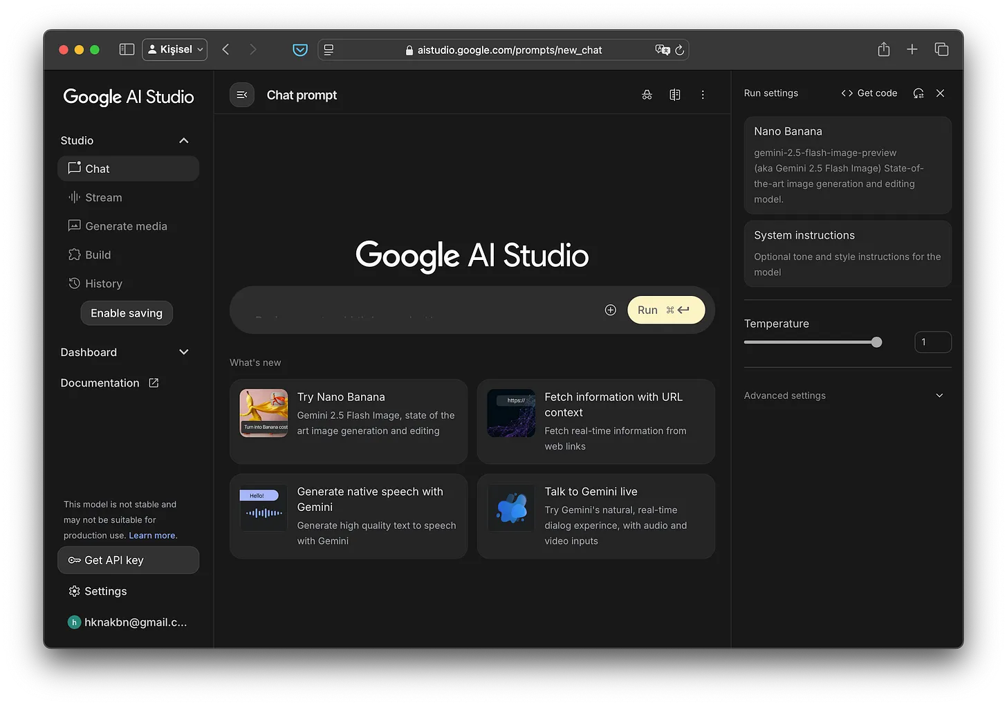 Google AI Studio arayüzü